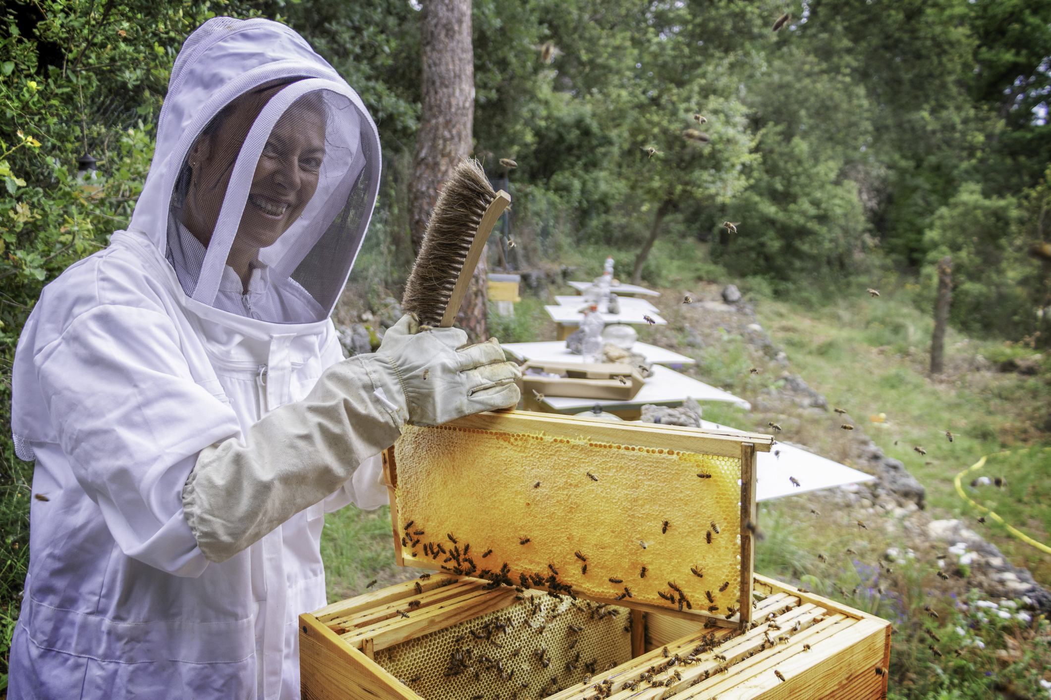  Australian skills assessment criteria change for Apiarists and Beekeepers