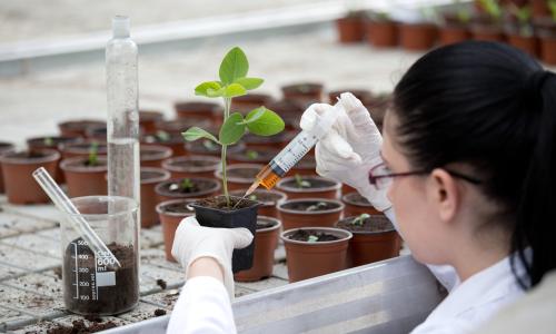 Biotechnologist working on site