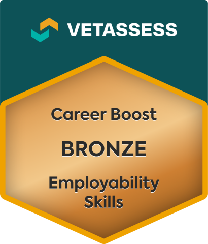 Career Boost Bronze 
