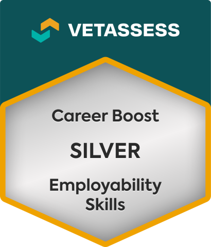 Career Boost Silver 