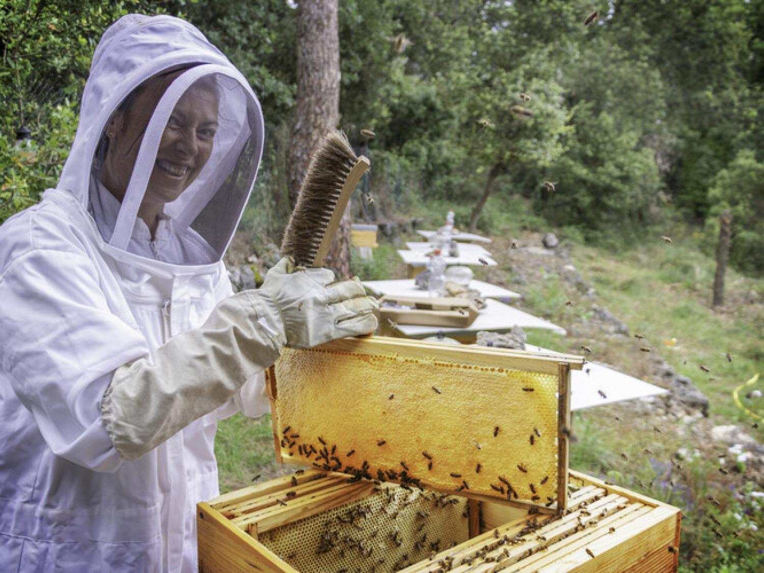  Australian skills assessment criteria change for Apiarists and Beekeepers