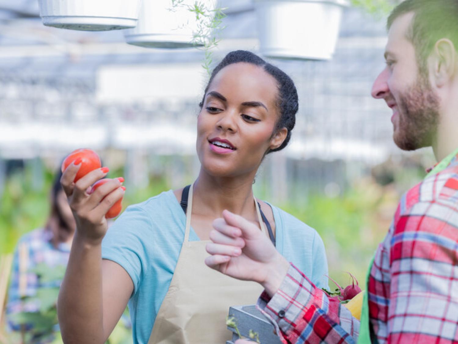 Skills assessments for horticulture migrant workers