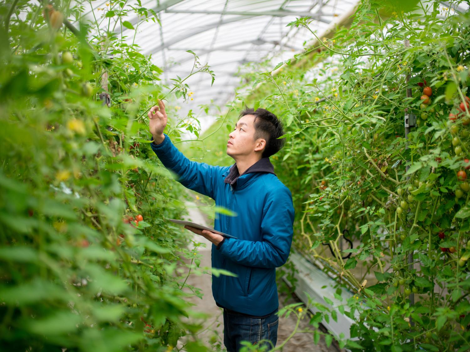 Food Supply Chain