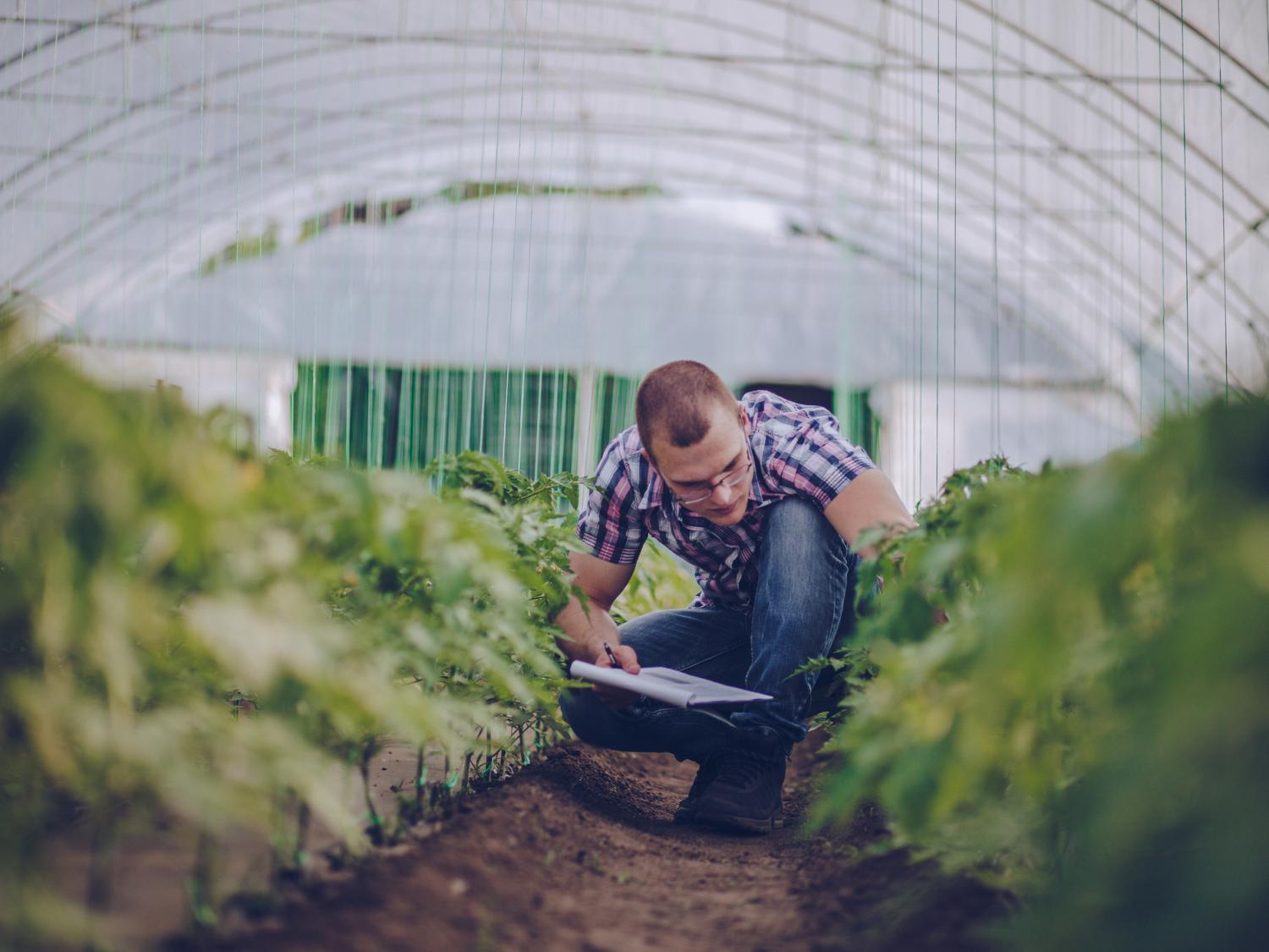 agriculture assessment